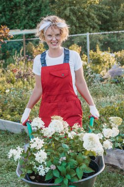 Bahçede el arabası olan genç bir kadın çalışıyor. Bahçıvan saksıları taşıyor.