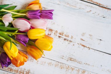 çok renkli laleler beyaz ahşap arka plan. Yukarıdan manzara. boşluk metni ile