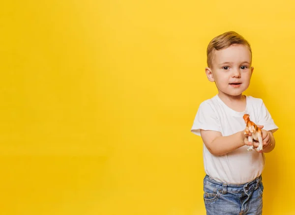 Bonito Menino Rindo Fundo Amarelo Com Brinquedo Dinossauro Suas Mãos — Fotografia de Stock