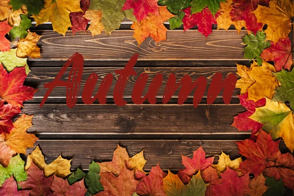 Concept Autumn Backgrounds Dry Maple Acorn Leaves Wooden Background Text — Stock Photo, Image