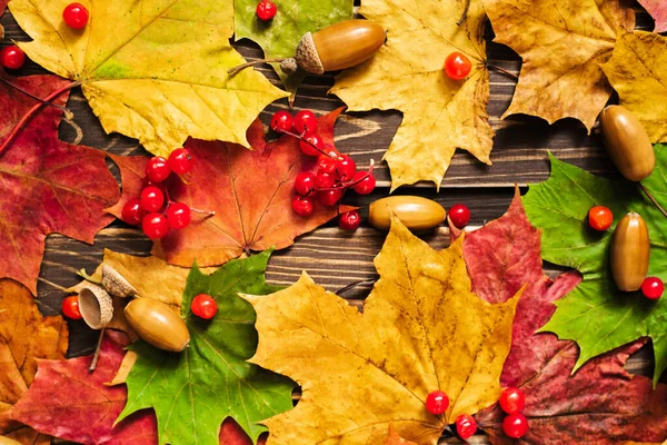 Концепция Осеннего Фона Сухой Клен Листья Желудя Деревянном Фоне — стоковое фото