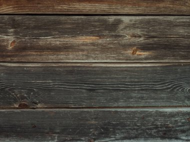 The background texture of the wall is made of gray old wooden boards. Close-up