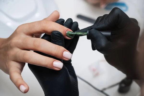 Manicure service. Close-up. Applying green varnish . The manicurist paints her nails with a transparent gel polish. Well-groomed nails. Professional salon hand care