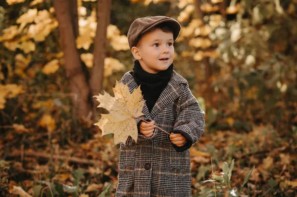 Šťastný Chlapeček Hraje Žlutým Javorovým Listem Podzimní Sezóně Parku Stock Fotografie