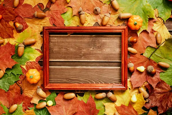 Das Konzept Der Herbsttapete Getrocknete Ahornblätter Und Eicheln Mit Rahmen lizenzfreie Stockfotos