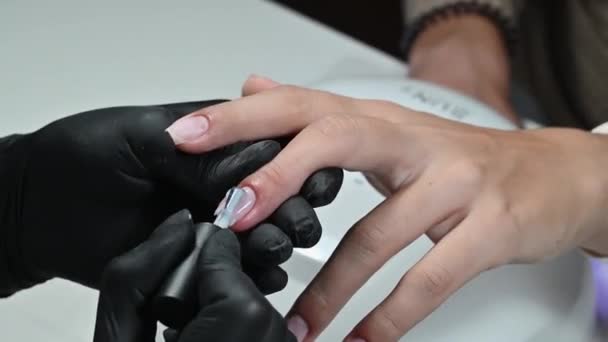 Manicure Service Manicurist Paints Her Nails Transparent Gel Polish Applying — Wideo stockowe