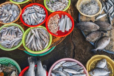 Nha Trang, Vietnam 'daki yerel Asya pazarında çeşitli taze balıklar var.