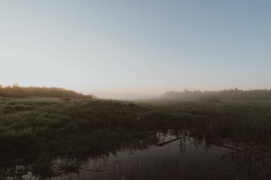 Kırsal alan, tarla, kara fırtına bulutları. Gaddar manzara
