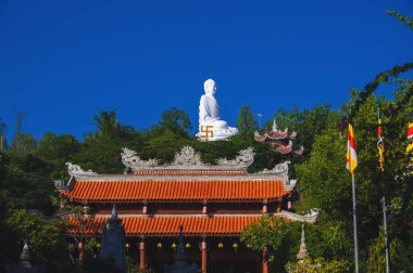 Long Son Pagoda ya da Chua Long Son, Güney Vietnam 'da Nha Trang şehrinde bulunan bir Budist tapınağıdır.