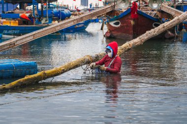 Denizde midye ve istiridye çiftliğinde yaşayan geleneksel bir balıkçı ya da midye çiftçisi. Da Nang, Vietnam - 30 Kasım 2024