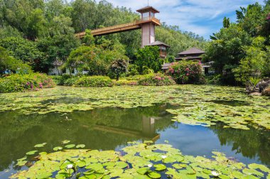 Bahçede yumuşak güneş ışığıyla yıkanmış, nilüfer yapraklı ve beyaz nilüfer çiçekli bir gölet..