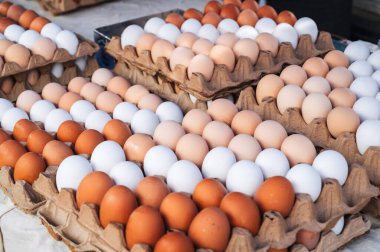 Bir çiftçi pazarının tezgahındaki karton bir paletin üzerine sıralanmış kahverengi yumurtalar..