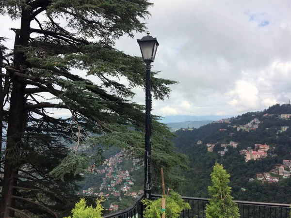 Single Street Light Nabij Shimla Ridge Himachal Pradesh India — Stockfoto