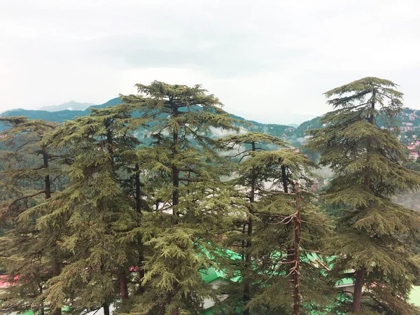 Landschap Uitzicht Shimla Hills Vanaf Treinstation Himachal Pradesh India — Stockfoto