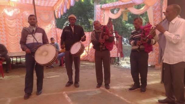 Traditional Indian Music Band Marrige Himachal Pradesh — Αρχείο Βίντεο