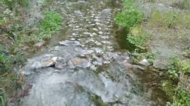 Hamirpur Himachal Pradesh 6. Hindistan 'da Su Küçük Kanalda Akıyor