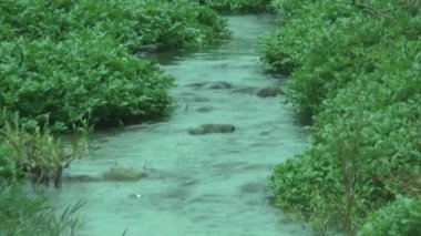 Water Flow In Narrow Channel