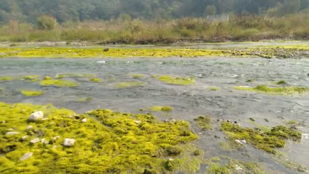 Flusso Acqua Nel Fiume Manikaran Himachal Pradesh — Video Stock