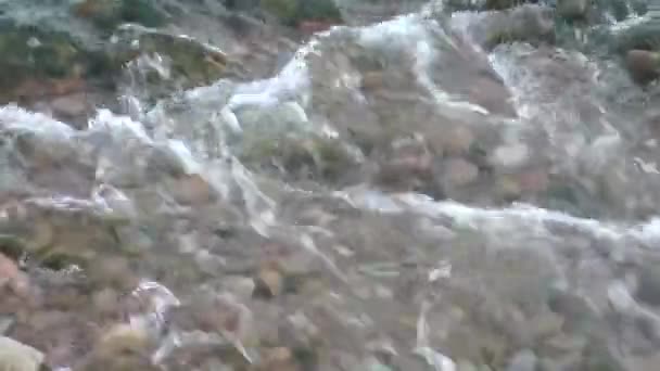 Beas Nehri Üzerindeki Beyaz Dalgaları Himachal Pradesh Hindistan — Stok video