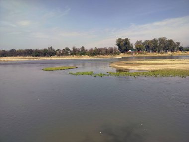 Beas Nehri yakınlarındaki yüzen adanın manzarası Himchal Pradesh Hindistan 