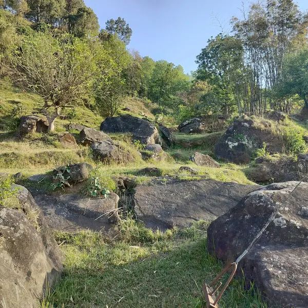 Kangra Distt 'in manzara görüntüsü. Velley Akşam Manzarası Himachal Pradesh Hindistan 10