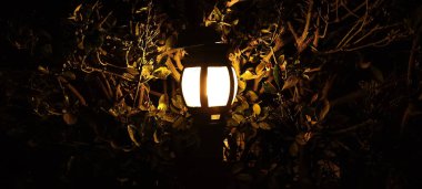 Gece yarısı bahçesiyle birlikte duvardan gece lambası Shimla himachal pradesh Hindistan 