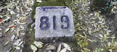 Himachal Pradesh Hindistan ormanındaki tren yolu 819 numaradan bahsediyor.