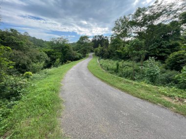 Bu görüntü, Himachal Pradesh Hindistan 'daki ağaçla birlikte ormanın yanındaki yolu gösteriyor. 