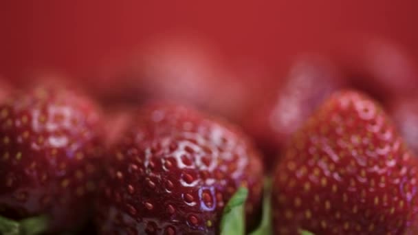 新鲜的一堆成熟的野草莓轮流 夏天草莓收获在盘子里的特写 草莓在纺丝 有益的野生浆果 选择性重点 — 图库视频影像