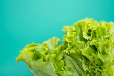 Yeşil arka planda marul yaprağı ve metin için boşluk. Sağlıklı ve vejetaryen gıda kavramı.