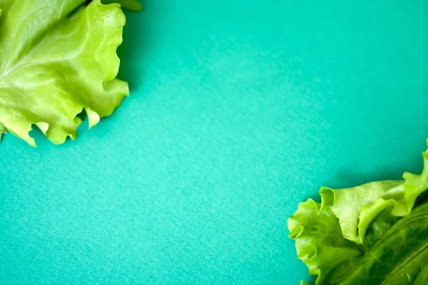 stock image Lettuce leaf on green background with space for text. The concept of healthy and vegan food.