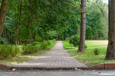 Yazın ve güneşli bir günde ormanın yanında yürüyüş yolu. Güneşli bir günde açık hava eğlencesi.