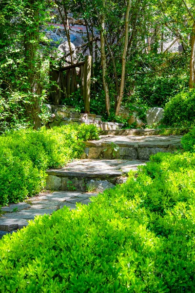 stock image Stone staircase with herbs and flowers on the sides of vertical rise. The concept of tourism and travel.