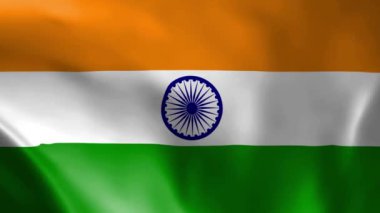 Hindistan bayrağı rüzgarda dalgalanıyor. detaylı kumaş dokusu. Kusursuz döngülü animasyon.