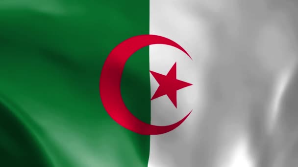 Algerian Flag Fluttering Wind Detailed Fabric Texture Seamless Looped Animation — Stock Video