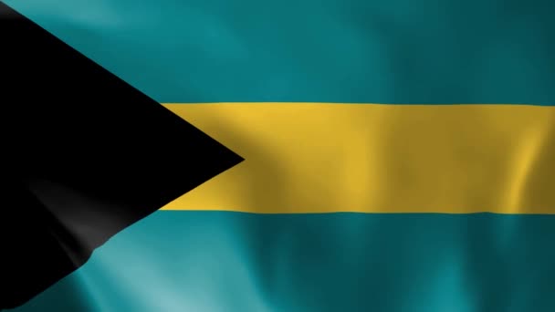 Bahamská Vlajka Vlála Větru Detailní Textura Tkaniny Bezešvé Smyčkové Animace — Stock video
