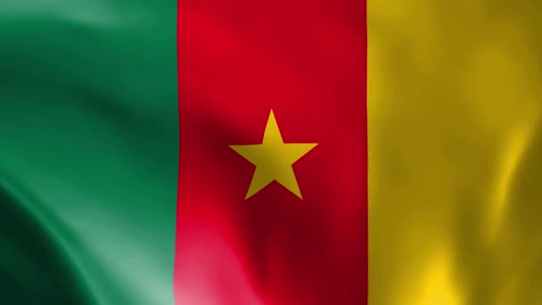 Σημαία Του Καμερούν Κυματίζει Στον Άνεμο Λεπτομερή Υφασμάτινη Υφή Απρόσκοπτη — Αρχείο Βίντεο