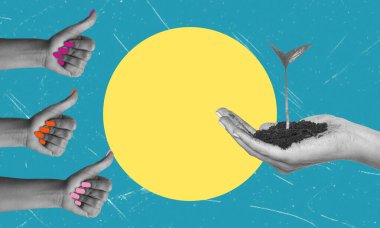 Büyüme, yeni yaşam konsepti. Bir el genç bir ağaç filizini tutuyor. Bakım ve çevre gelişimi. Ekoloji kavramı. Minimalist sanat kolajı.