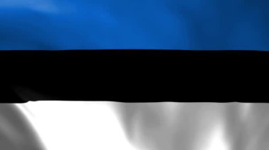 Estonya bayrağı rüzgarda savruluyor. Ayrıntılı kumaş dokusu. Kusursuz döngülü animasyon.