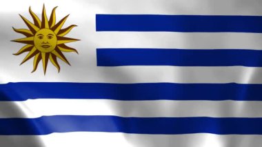 Uruguay bayrağı rüzgarda uçuşuyor. Ayrıntılı kumaş dokusu. Kusursuz döngülü animasyon.
