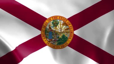 Florida bayrağı rüzgarda savruluyor. Ayrıntılı kumaş dokusu. Kusursuz döngülü animasyon.