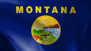 Montana bayrağı rüzgarda savruluyor. Ayrıntılı kumaş dokusu. Kusursuz döngülü animasyon.