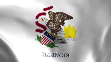 Illinois bayrağı rüzgarda savruluyor. Ayrıntılı kumaş dokusu. Kusursuz döngülü animasyon.