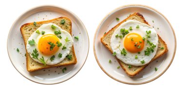 Beyaz arka planda bir tabakta yumurtalı sandviç. Sağlıklı, kolay kahvaltı konsepti. Kızarmış yumurtalı tam tahıllı tost.