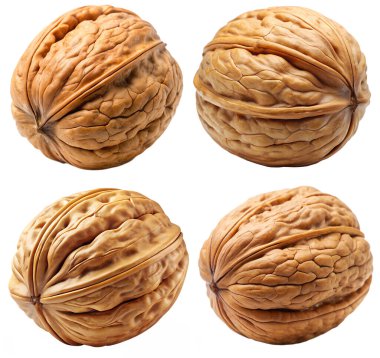 Beyaz arka planda bir takım ceviz. Lezzetli ve sağlıklı yemek kavramı..