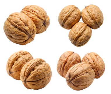 Beyaz arka planda bir takım ceviz. Lezzetli ve sağlıklı yemek kavramı..