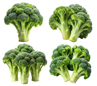 Beyaz arka planda izole edilmiş bir Brokoli seti. Sağlıklı ve vejetaryen gıda konsepti.