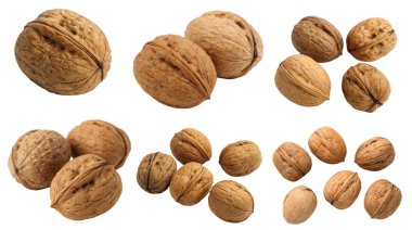 Beyaz arka planda izole edilmiş bir ceviz seti. Lezzetli ve sağlıklı yemek kavramı..