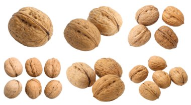 Beyaz arka planda izole edilmiş bir ceviz seti. Lezzetli ve sağlıklı yemek kavramı..