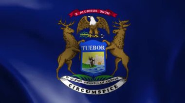 Michigan bayrağı rüzgarda savruluyor. Ayrıntılı kumaş dokusu. Kusursuz döngülü animasyon.